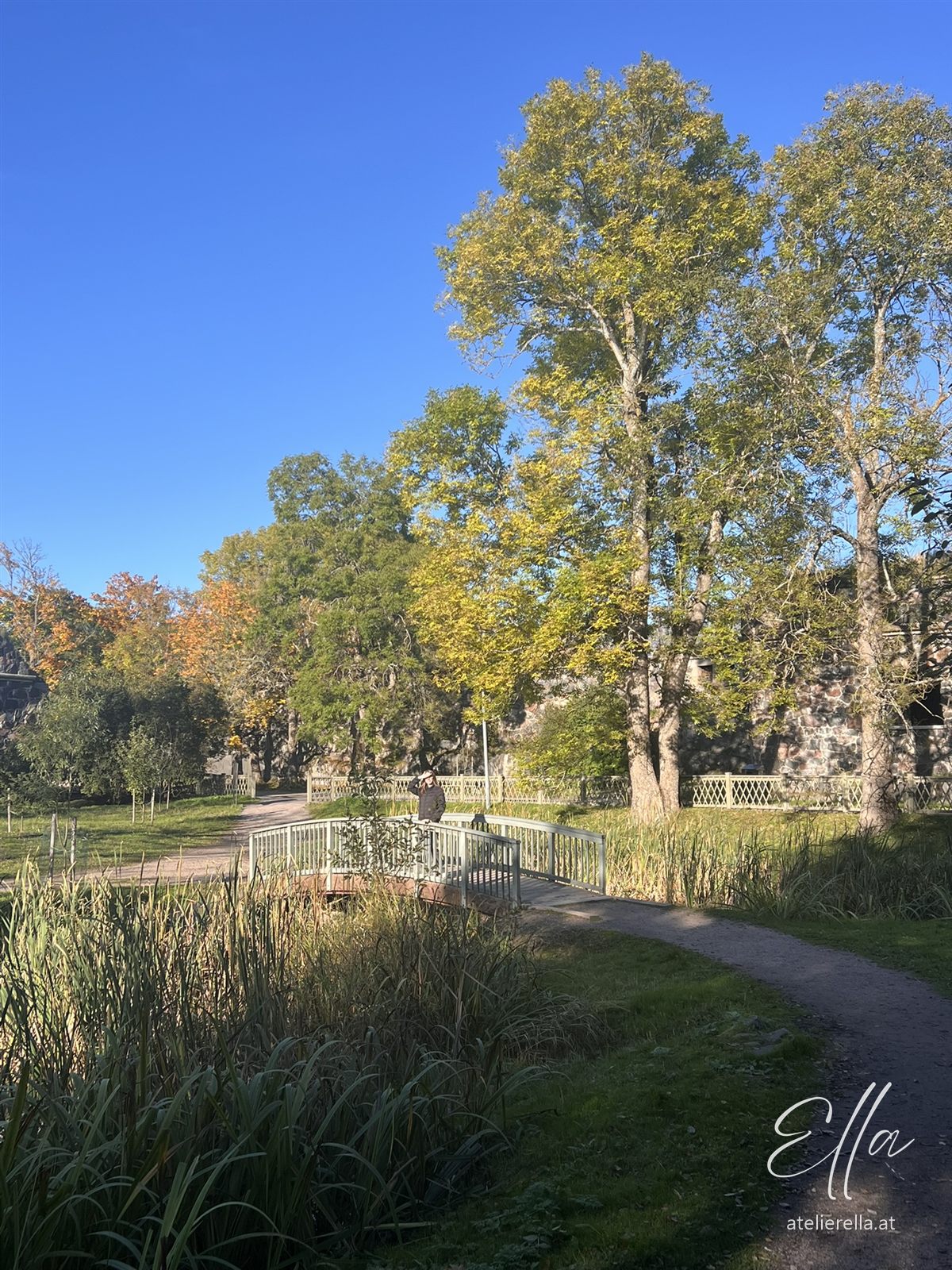 Herbstbäume und Wiese auf Suomenlinna