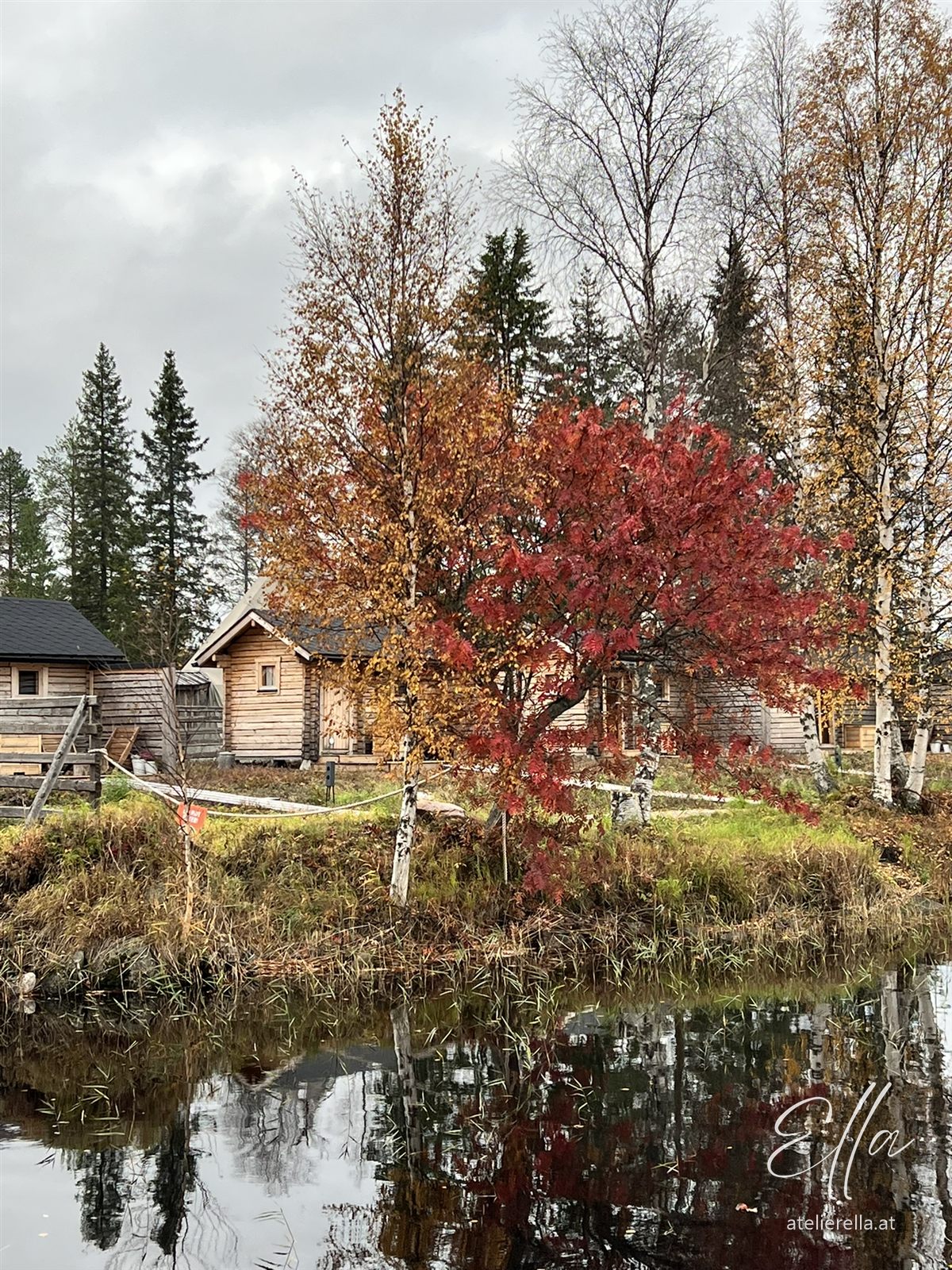 Leuchtend roter Baum im Herbst an einem Teich in Lappland