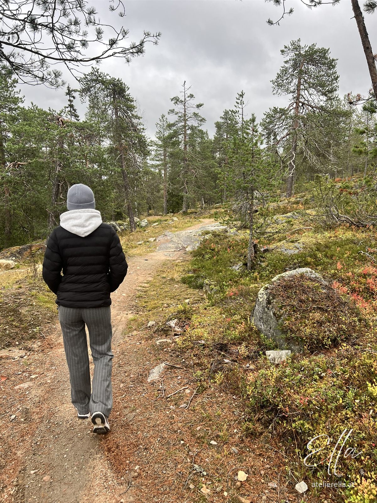 Wanderin auf einem Waldweg in Lappland