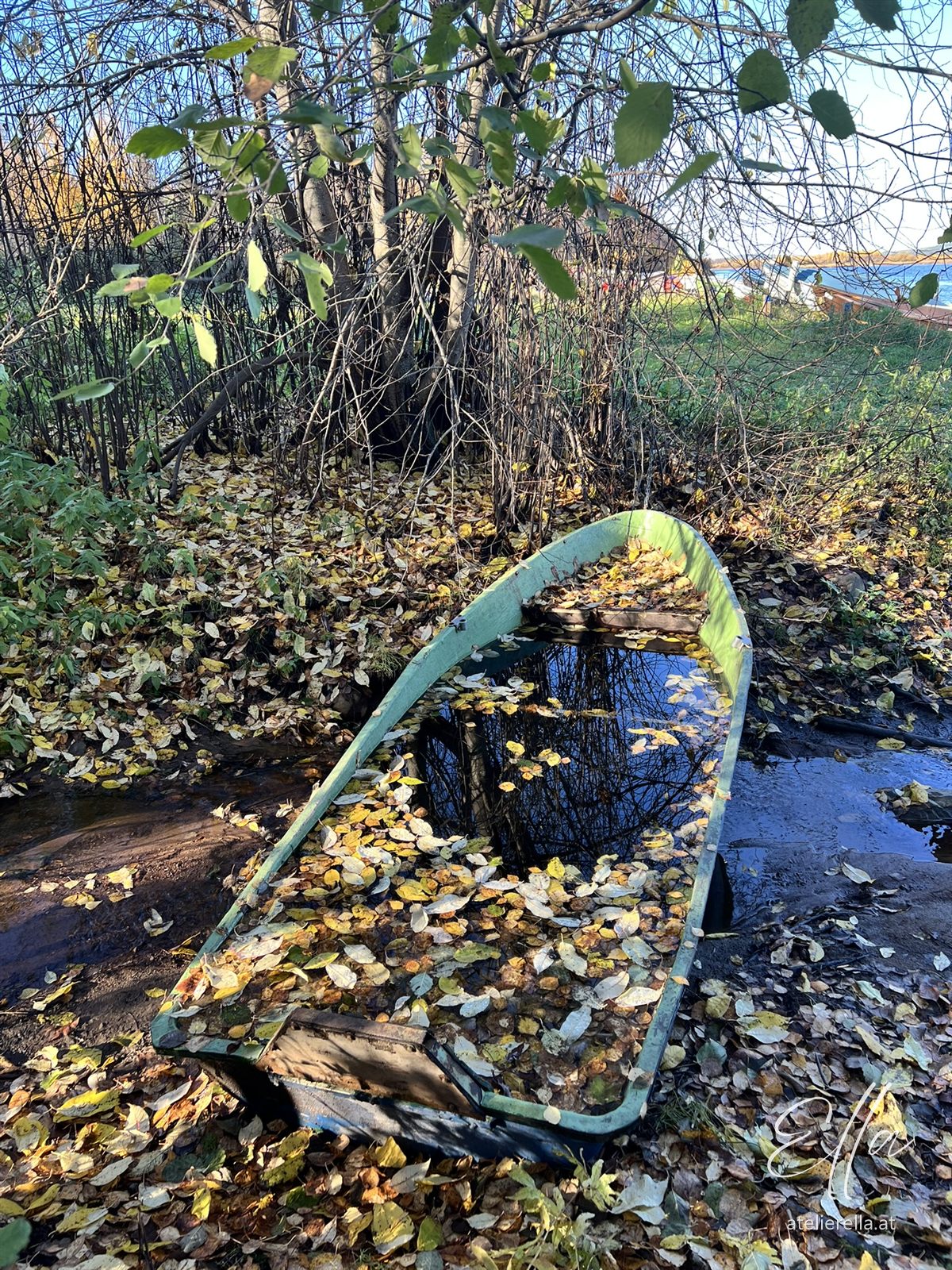 Altes Boot voller Herbstlaub
