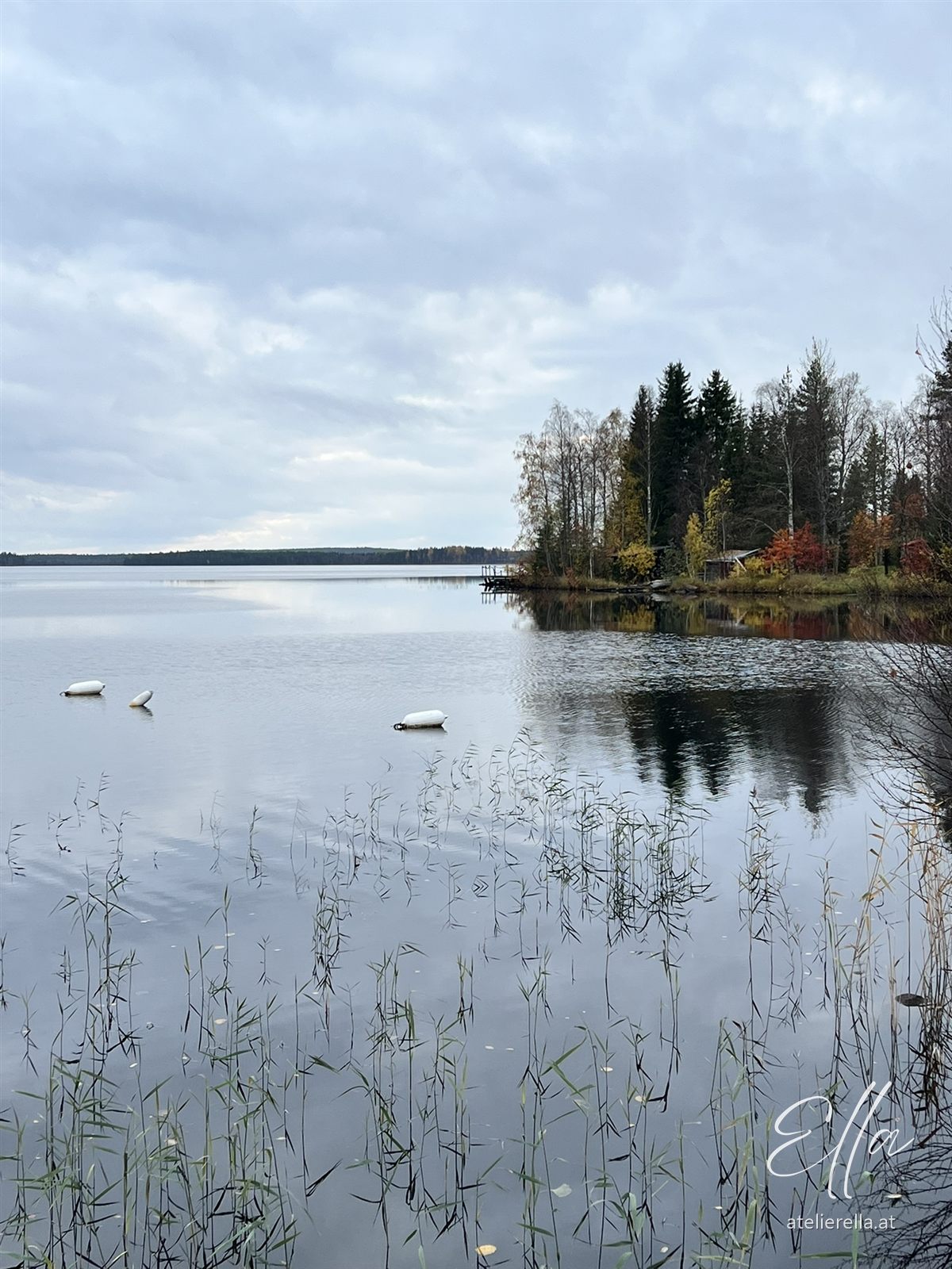 Schilf und kleine Insel in einem stillen See