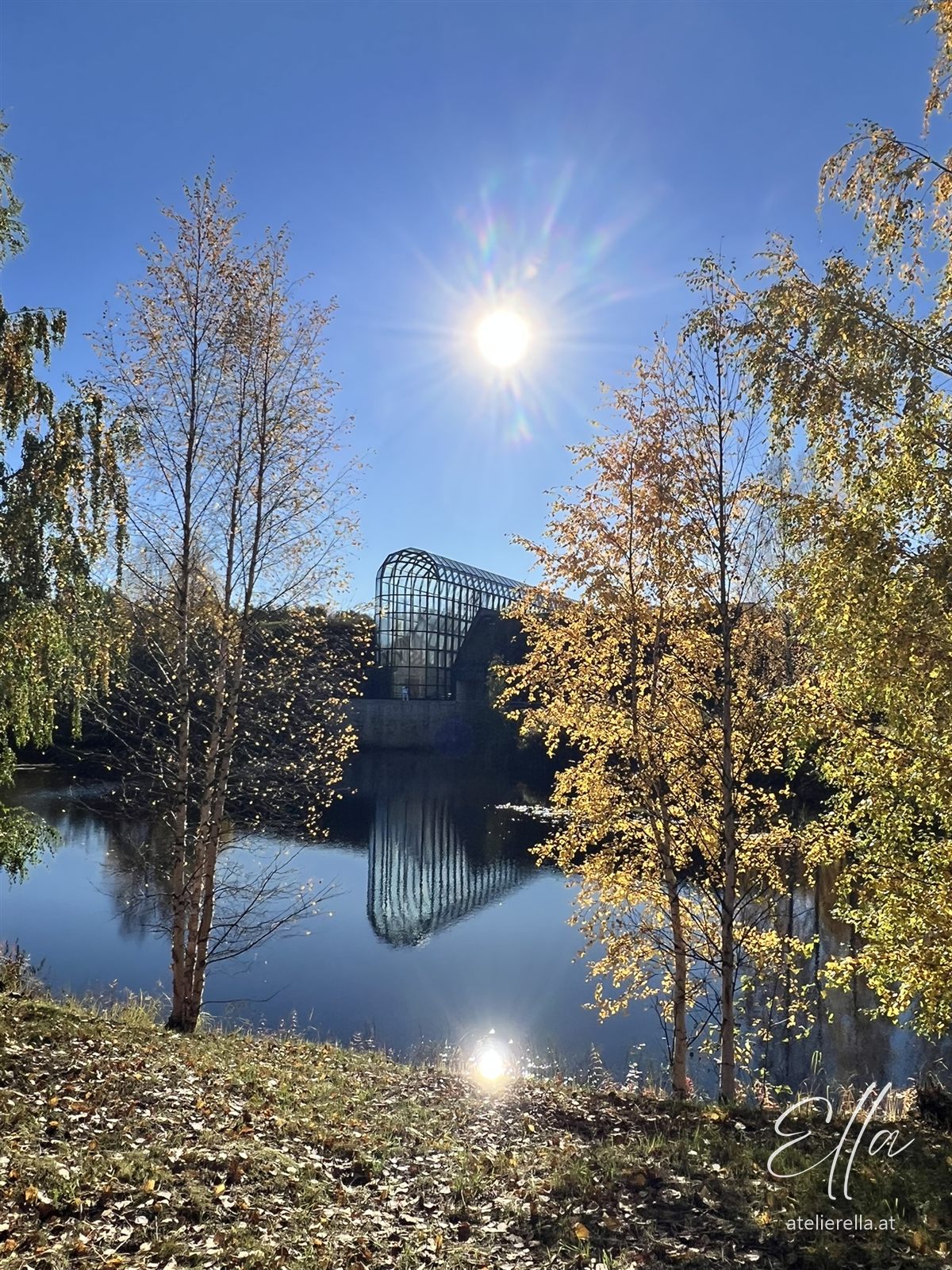 Sonne und Herbstbäume am See in Rovaniemi