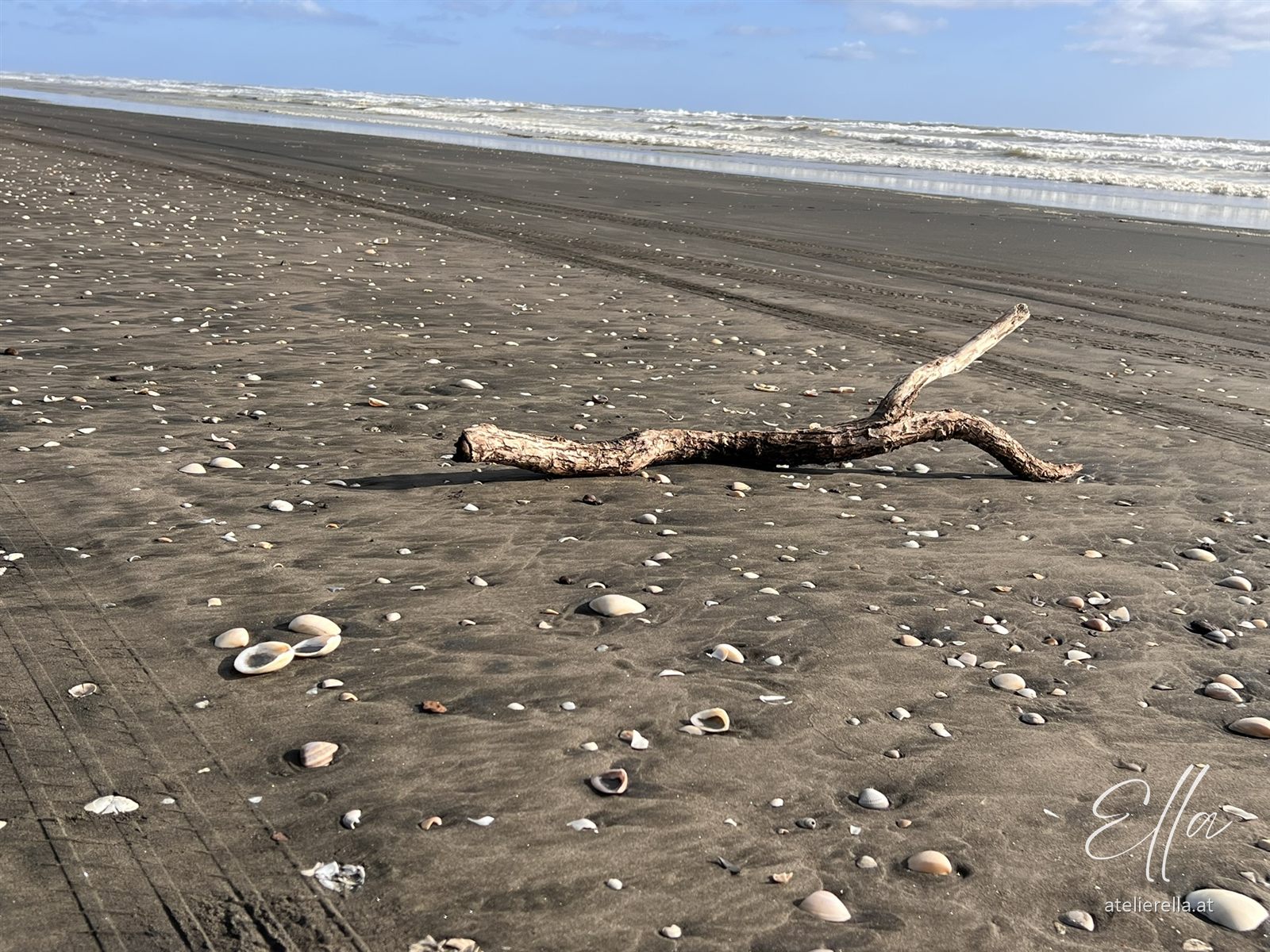 Treibholz und Muscheln auf schwarzem Sand am Strand von Karioitahi