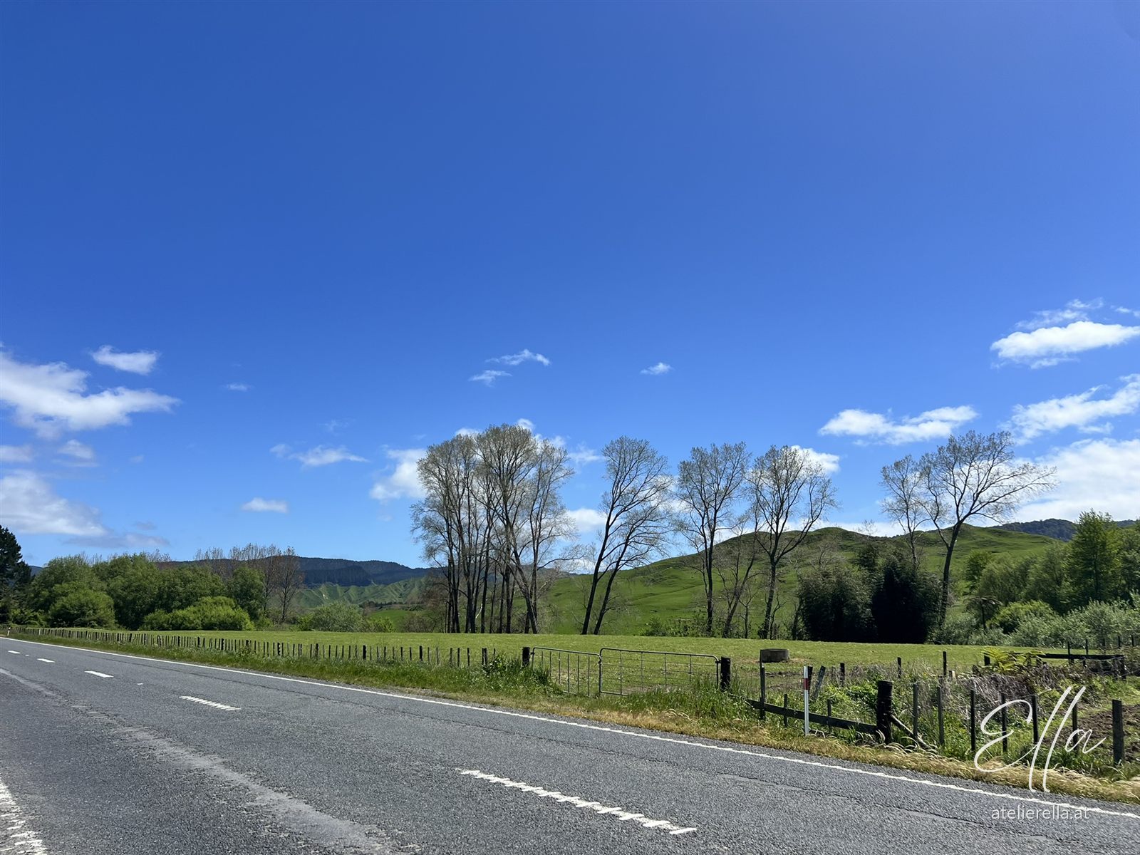 Leere Landstraße zwischen grünen Weiden und Bäumen in Neuseeland