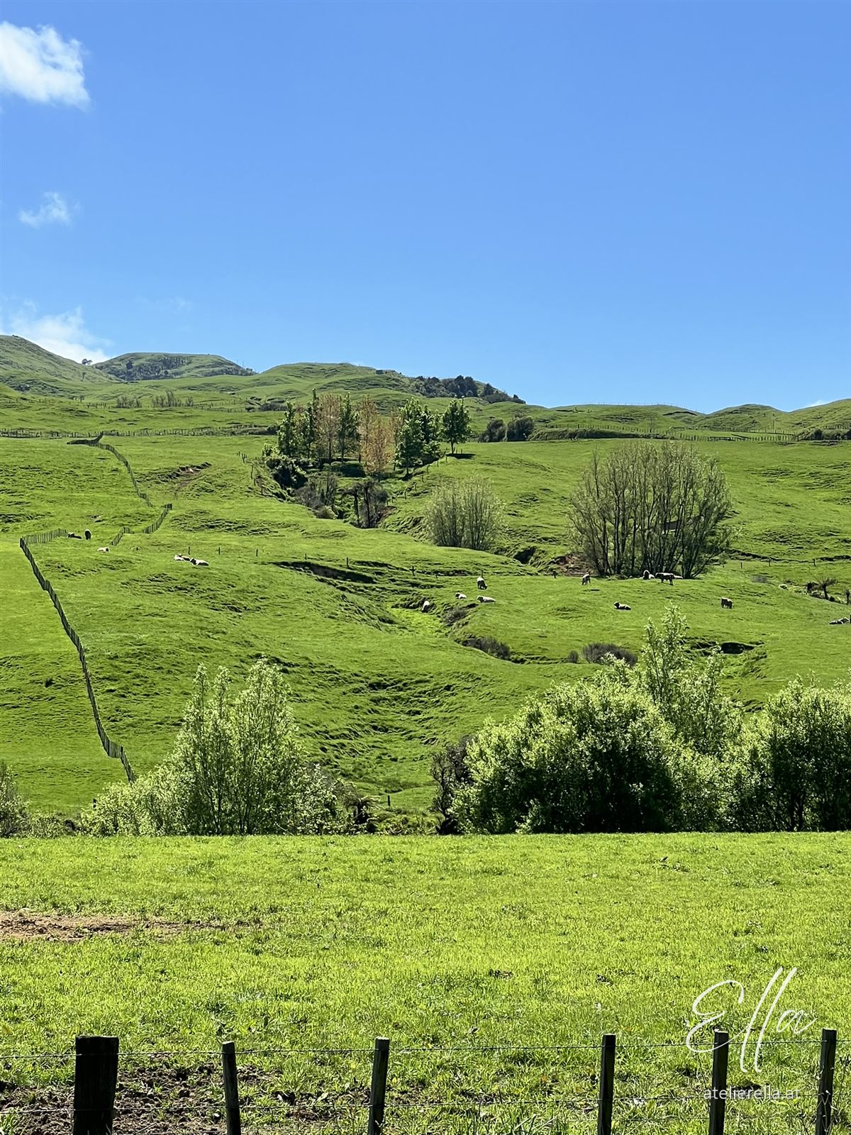 Sanfte grüne Hügel und Weiden unter blauem Himmel